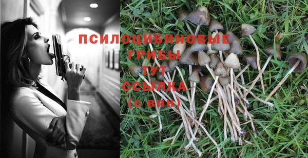 тгк Аркадак