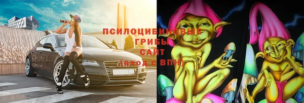тгк Аркадак